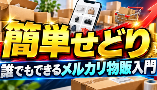 【せどり】意外と知られていないフリマ転売の仕入れ先